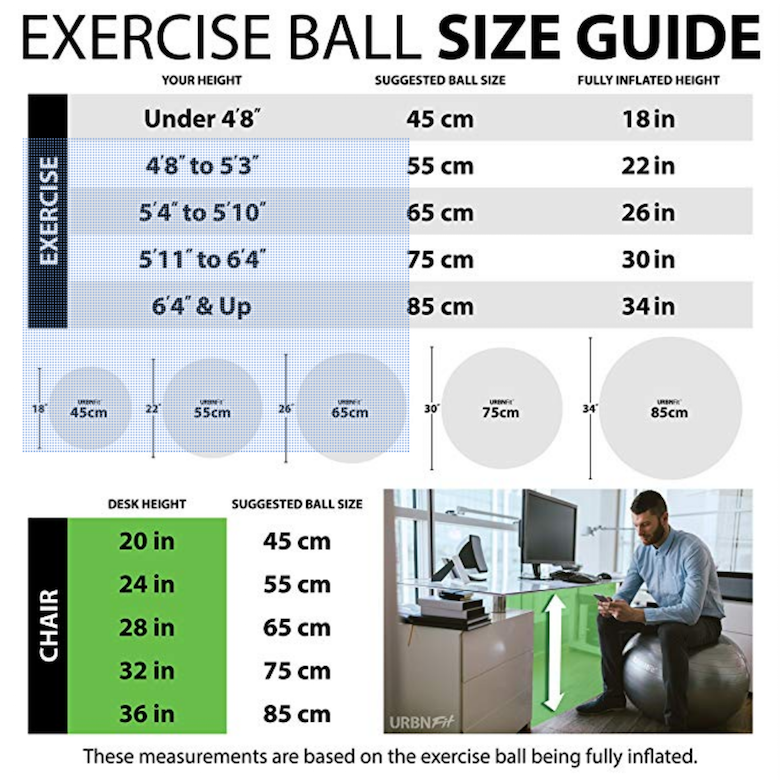 Swiss Exercise Ball size chart for back pain relief Stretching exercises and core exercises